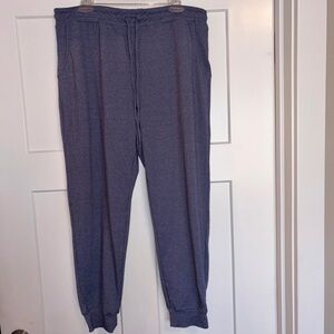 BuffBunny heathered blue joggers XL